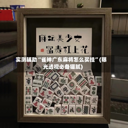 实测辅助“雀神广东麻将怎么买挂	”(曝光透视必备猫腻)-第2张图片