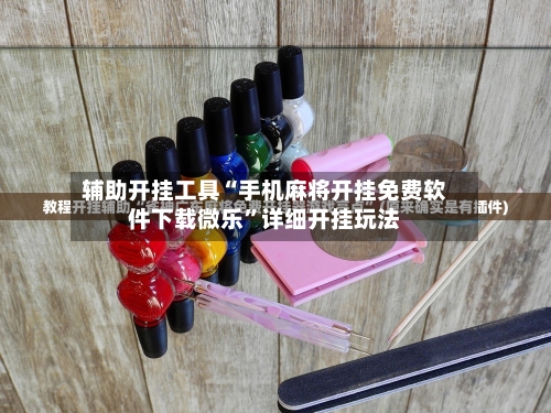 辅助开挂工具“手机麻将开挂免费软件下载微乐”详细开挂玩法-第2张图片
