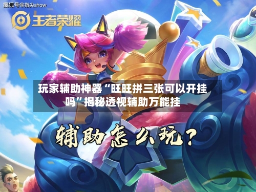 玩家辅助神器“旺旺拼三张可以开挂吗	”揭秘透视辅助万能挂-第2张图片