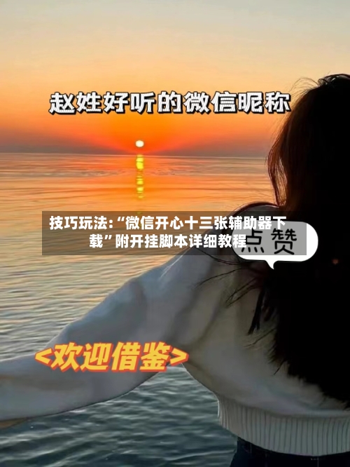 技巧玩法:“微信开心十三张辅助器下载”附开挂脚本详细教程-第3张图片
