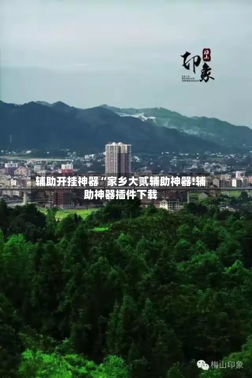 辅助开挂神器“家乡大贰辅助神器!辅助神器插件下载-第2张图片
