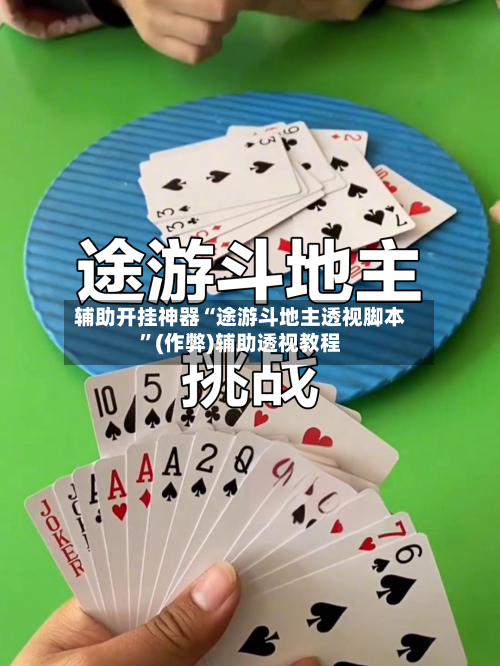 辅助开挂神器“途游斗地主透视脚本”(作弊)辅助透视教程-第2张图片