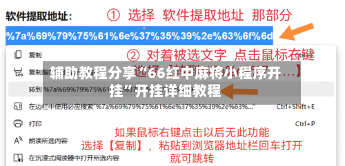 辅助教程分享“66红中麻将小程序开挂”开挂详细教程-第3张图片