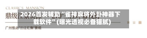 2026首发辅助“雀神麻将外卦神器下载软件”(曝光透视必备猫腻)