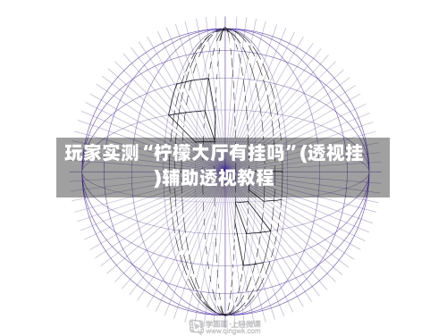 玩家实测“柠檬大厅有挂吗”(透视挂)辅助透视教程-第3张图片