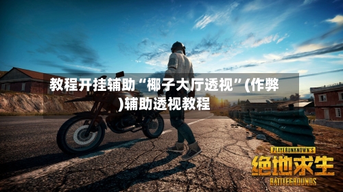 教程开挂辅助“椰子大厅透视”(作弊)辅助透视教程-第2张图片