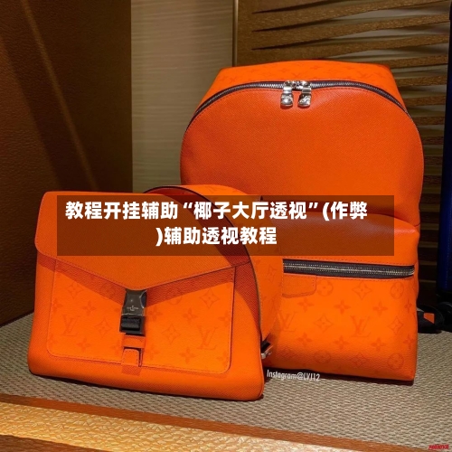 教程开挂辅助“椰子大厅透视	”(作弊)辅助透视教程-第3张图片