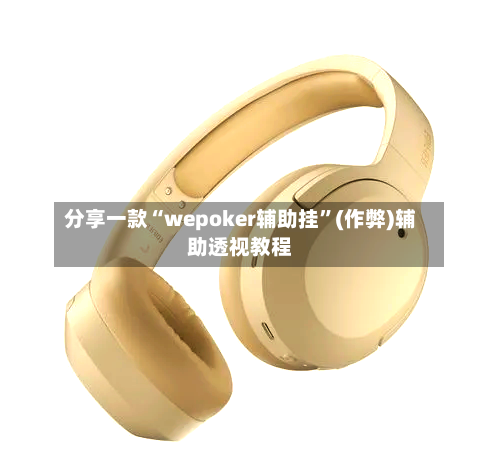 分享一款“wepoker辅助挂”(作弊)辅助透视教程