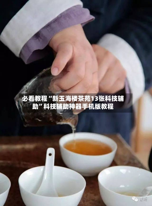 必看教程“新玉海楼茶苑13张科技辅助”科技辅助神器手机版教程-第3张图片