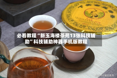 必看教程“新玉海楼茶苑13张科技辅助	”科技辅助神器手机版教程-第2张图片