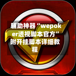 辅助神器“wepoker透视脚本官方”附开挂脚本详细教程-第3张图片