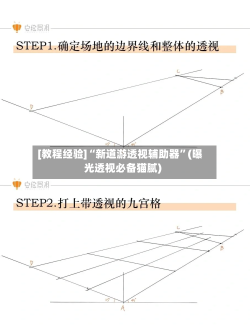 [教程经验]“新道游透视辅助器	”(曝光透视必备猫腻)-第2张图片