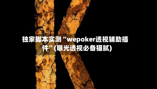 独家脚本实测“wepoker透视辅助插件”(曝光透视必备猫腻)