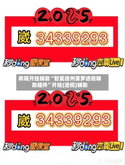 教程开挂辅助“智星德州菠萝透视辅助插件”开挂(透视)辅助