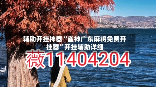 辅助开挂神器“雀神广东麻将免费开挂器”开挂辅助详细-第2张图片