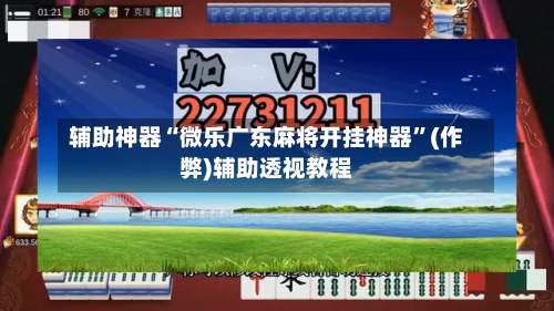辅助神器“微乐广东麻将开挂神器”(作弊)辅助透视教程-第2张图片
