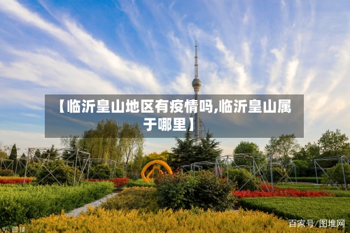 【临沂皇山地区有疫情吗,临沂皇山属于哪里】-第2张图片