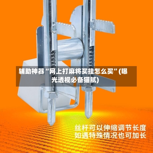 辅助神器“网上打麻将买挂怎么买”(曝光透视必备猫腻)