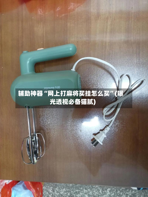 辅助神器“网上打麻将买挂怎么买”(曝光透视必备猫腻)-第2张图片