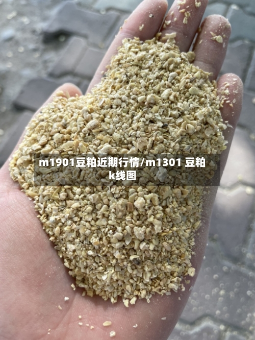m1901豆粕近期行情/m1301 豆粕k线图