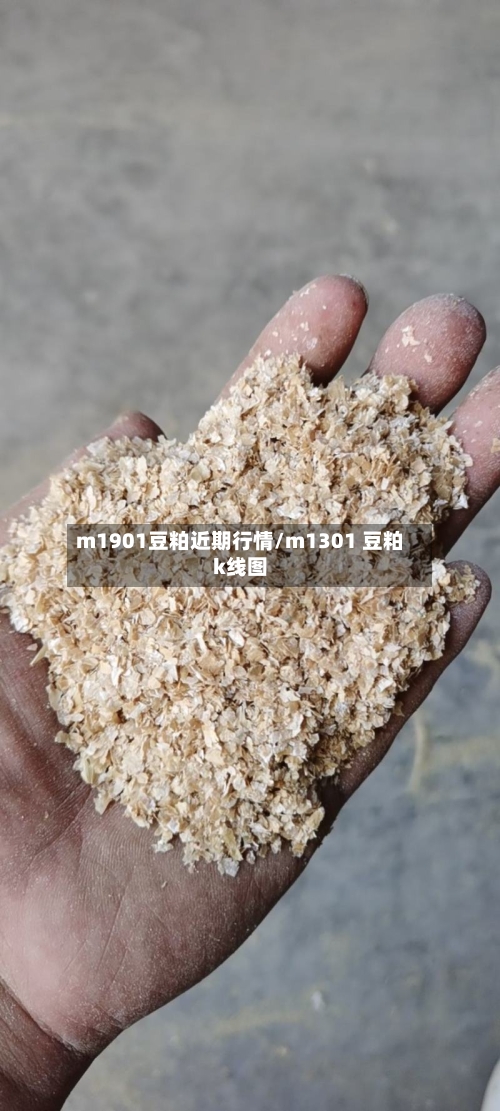 m1901豆粕近期行情/m1301 豆粕k线图-第2张图片