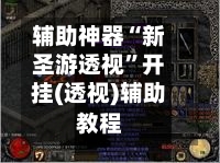 辅助神器“新圣游透视”开挂(透视)辅助教程-第2张图片