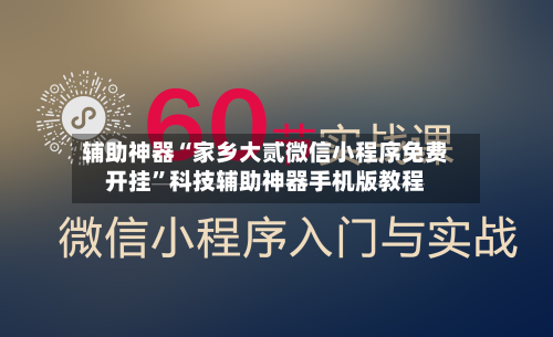 辅助神器“家乡大贰微信小程序免费开挂”科技辅助神器手机版教程-第2张图片