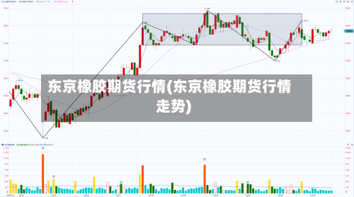 东京橡胶期货行情(东京橡胶期货行情走势)-第2张图片