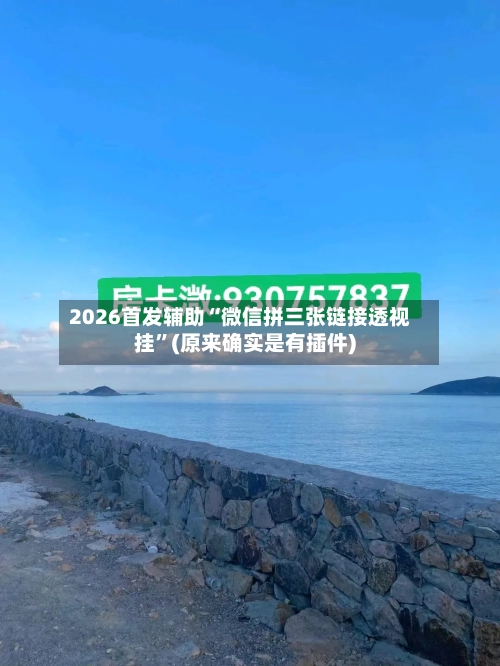 2026首发辅助“微信拼三张链接透视挂	”(原来确实是有插件)-第2张图片