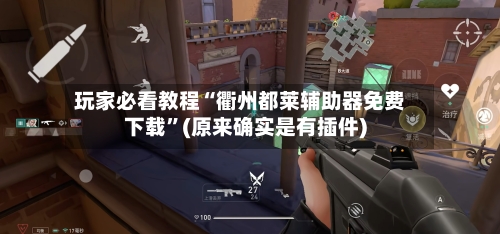 玩家必看教程“衢州都莱辅助器免费下载”(原来确实是有插件)