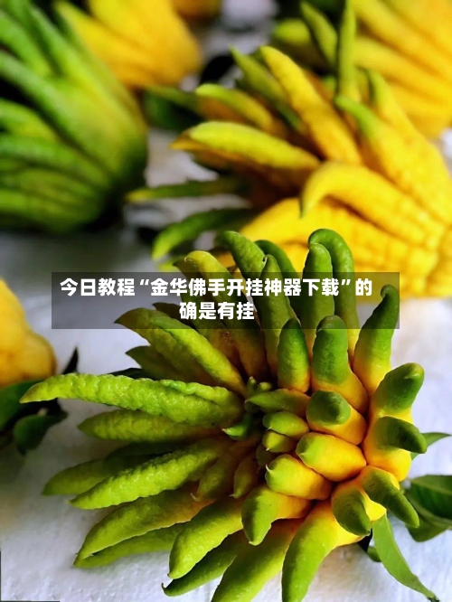 今日教程“金华佛手开挂神器下载	”的确是有挂-第2张图片