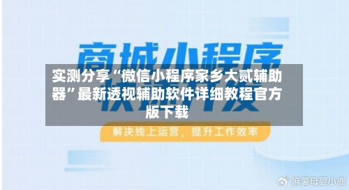 实测分享“微信小程序家乡大贰辅助器”最新透视辅助软件详细教程官方版下载-第2张图片
