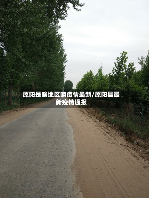 原阳是啥地区啊疫情最新/原阳县最新疫情通报