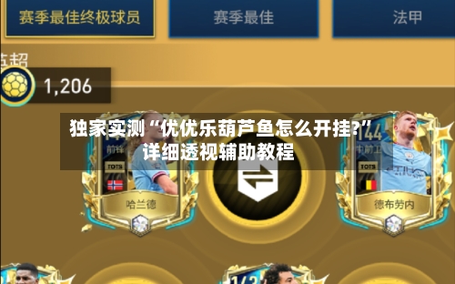 独家实测“优优乐葫芦鱼怎么开挂?”详细透视辅助教程-第2张图片