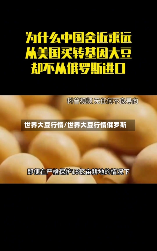 世界大豆行情/世界大豆行情俄罗斯-第2张图片