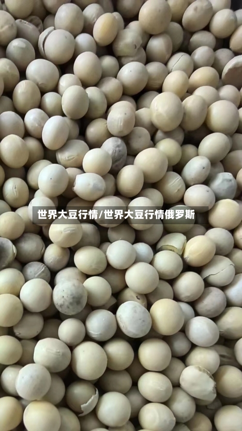 世界大豆行情/世界大豆行情俄罗斯