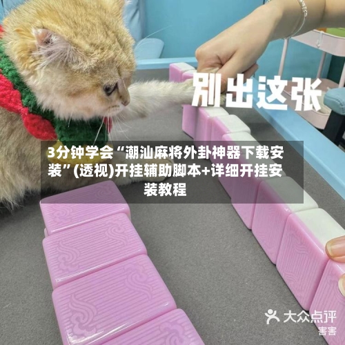 3分钟学会“潮汕麻将外卦神器下载安装”(透视)开挂辅助脚本+详细开挂安装教程-第3张图片