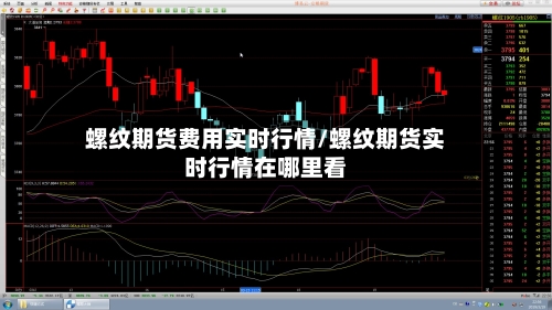 螺纹期货费用实时行情/螺纹期货实时行情在哪里看-第2张图片
