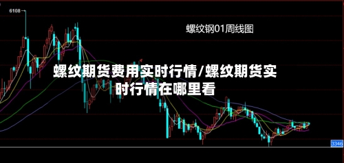 螺纹期货费用实时行情/螺纹期货实时行情在哪里看