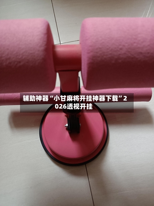 辅助神器“小甘麻将开挂神器下载”2026透视开挂