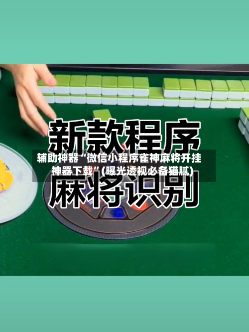 辅助神器“微信小程序雀神麻将开挂神器下载	”(曝光透视必备猫腻)-第2张图片