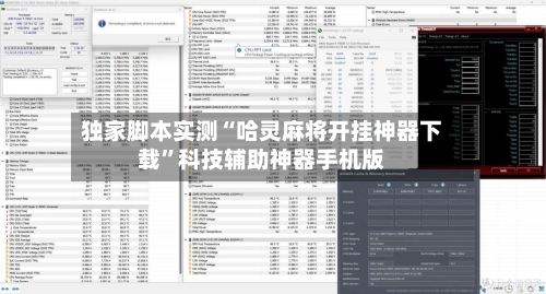 独家脚本实测“哈灵麻将开挂神器下载”科技辅助神器手机版-第3张图片