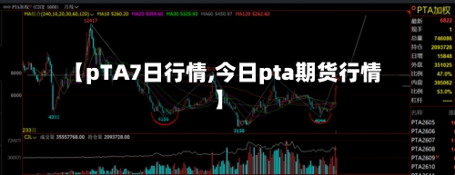 【pTA7日行情,今日pta期货行情】-第3张图片