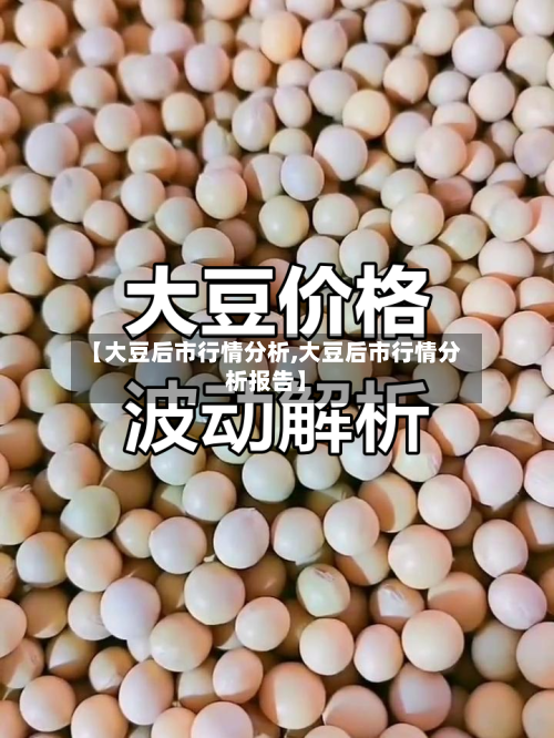 【大豆后市行情分析,大豆后市行情分析报告】-第2张图片
