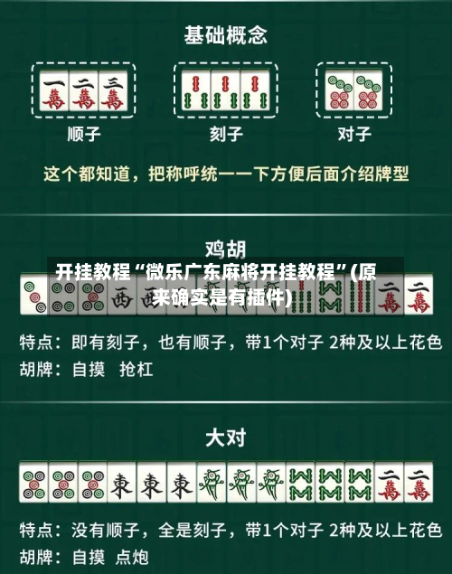 开挂教程“微乐广东麻将开挂教程	”(原来确实是有插件)-第2张图片