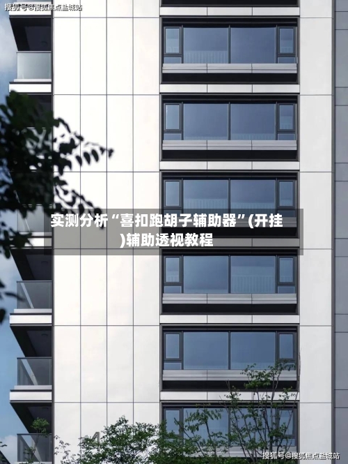 实测分析“喜扣跑胡子辅助器”(开挂)辅助透视教程-第3张图片