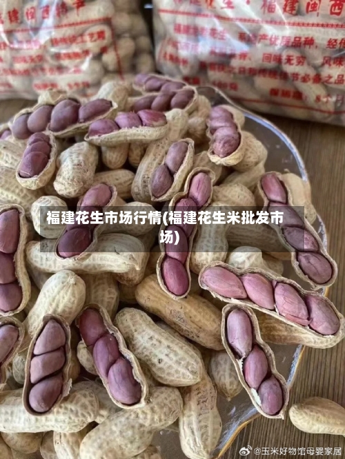 福建花生市场行情(福建花生米批发市场)-第3张图片