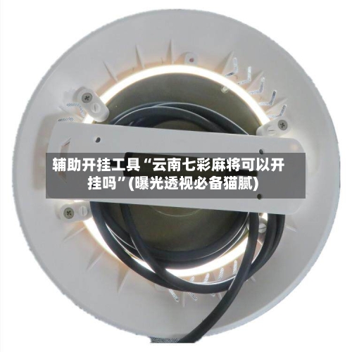 辅助开挂工具“云南七彩麻将可以开挂吗”(曝光透视必备猫腻)