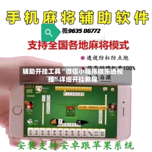 辅助开挂工具“微信小程序微乐透视挂	”详细开挂教程-第2张图片