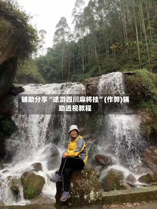 辅助分享“途游四川麻将挂”(作弊)辅助透视教程-第2张图片